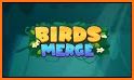 Birds Merge related image
