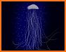 The Jellyfish App Pro related image
