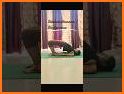 Human Bridge related image