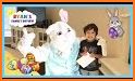 Will The Easter Bunny Visit Me related image