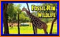 Fossil Rim related image