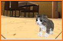 3d cute cat related image