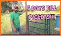 Pig Pens related image