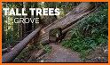 Redwood National Park related image
