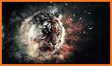 Tiger Wallpapers 4K related image
