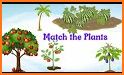 Plants Pair Matching Game related image