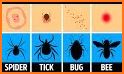 Bug Identifier, Picture Insect related image