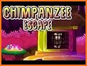 Best Escape Games 101 Chimpanzees Escape Game related image