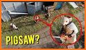 Pigsaw Horror Steps related image