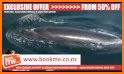 BOOKME NZ Discounts & Deals on tourist attractions related image