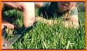 Grass Cut ASMR related image