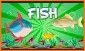 Picture Fish - Fish Identifier related image