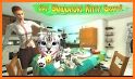 Kitten Cat Simulator:Cute cat SMASH Kids Room related image