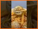 All Noodles & Dumpling Recipes related image