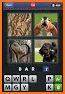 9 Pics 1 Word related image