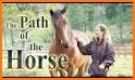🐎 Horse Care - Mane Braiding related image