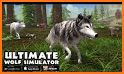Wolf Simulator 2019: Family Survival related image