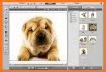 My Talking Pets Free－Make Cat & Dog Talk on Photos related image