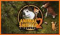 Animal Shelter Simulator related image