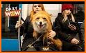 Cutie Animals Subway related image
