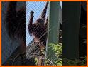 Squirre lville related image