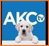 AKC.TV related image