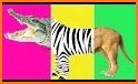 Match Game - Animals related image