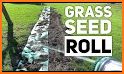 Grass Roll related image