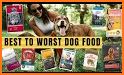 Dog Safe Foods (Premium) related image