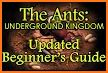 The ants underground kingdom related image