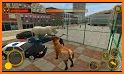 Angry Bull Simulator City Attack : Bull Rampage related image