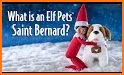 Elf Pets® Pup — The Elf on the Shelf® related image