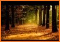 Autumn Wallpapers & Backgrounds related image