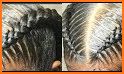 2019 Braid Hairstyles Step by Step Videos Latest related image