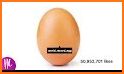 WORLD RECORD EGG related image