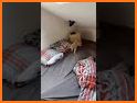 thecatvibess related image