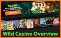 Wild Casino-s Guide related image