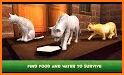 Cute Guinea Pig Home Adventure Simulator 3D related image