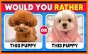 Cash Quiz - Animal Edition related image