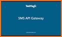 SMS Gateway - SemySMS related image