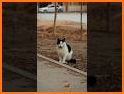 Photogeniche related image
