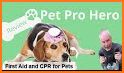 CPR Fort Collins Pet Shop & Pet CPR Course related image