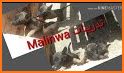 Maliwa related image