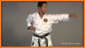 Sakauri Karate Basics related image
