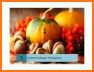 Thanksgiving Wallpapers Free related image