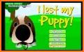 Puppies Memory Game with photos of cute puppies related image