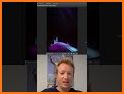 Walt AI related image