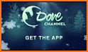 Dove Channel related image