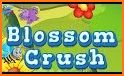 Blossom Crush - Best Flower Crush Mania Game related image
