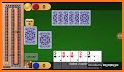 Cribbage Pro related image